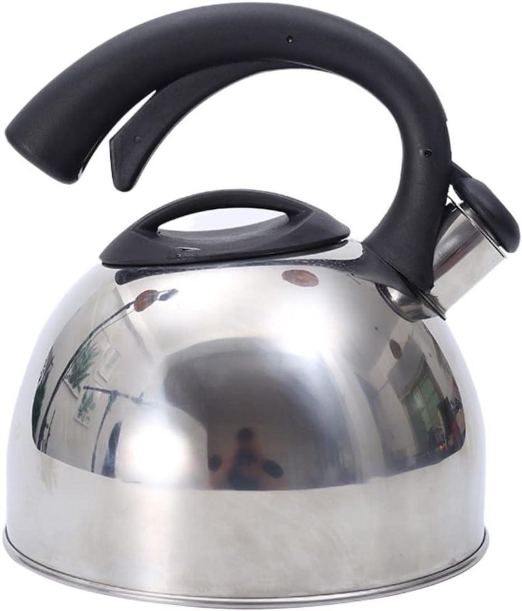 Fluitketel RVS - Theeketel Waterkoker - Water Koken - Anti-heet handvat - 3 Liter - Steel