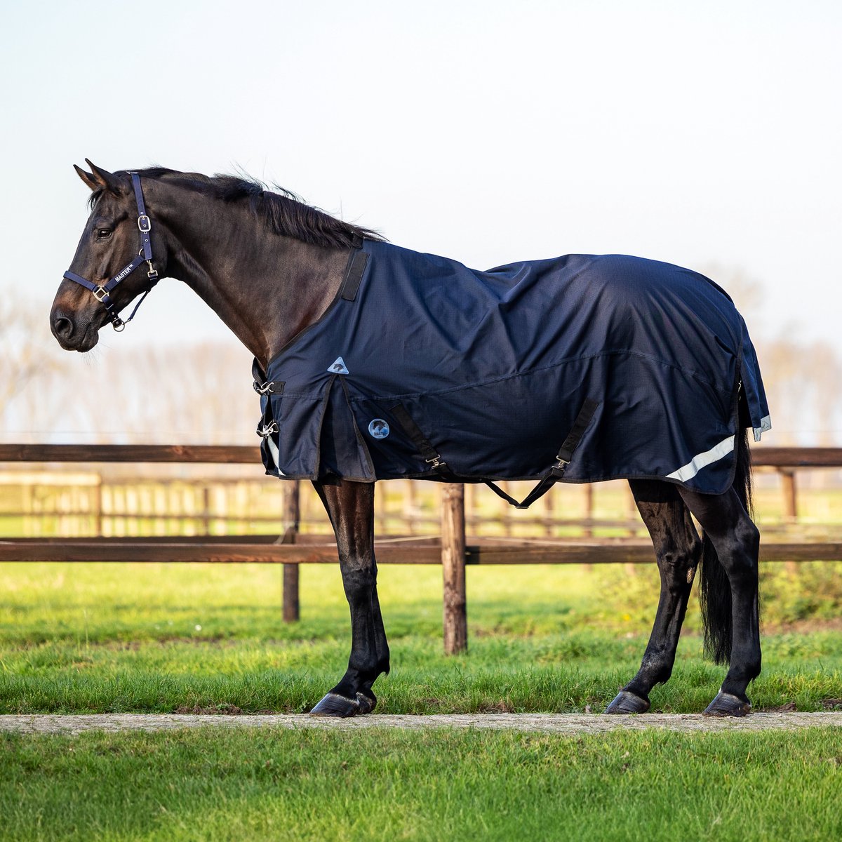 Master 1200D Luxe Outdoor Paardendeken 0g Navy - 165