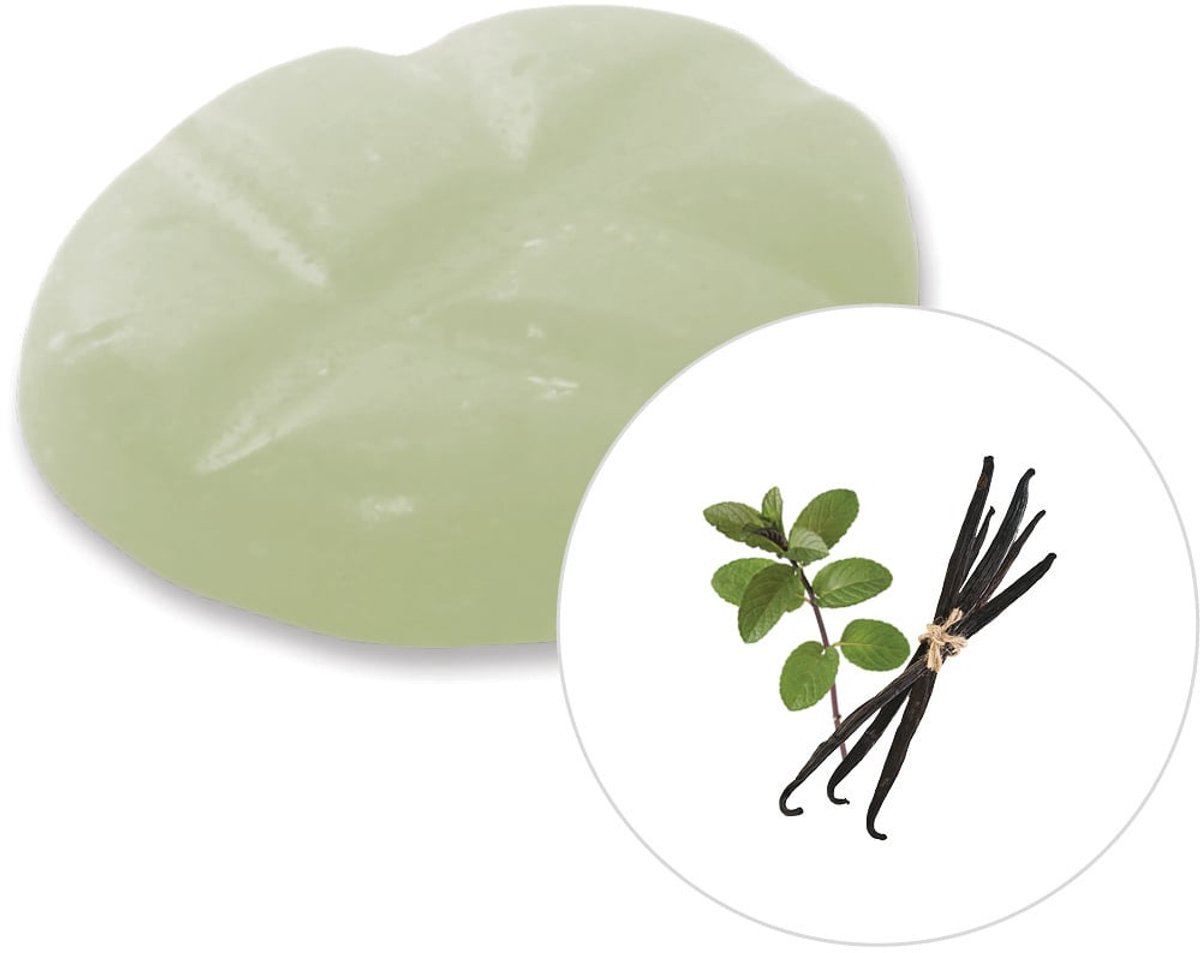 Scentchips® Vanilla Patchouli - Geurblokjes - Huisparfum - Geurchips - Waxmelts - Geschikt voor Geurbrander en Waxbrander - XL - 38 Stuks