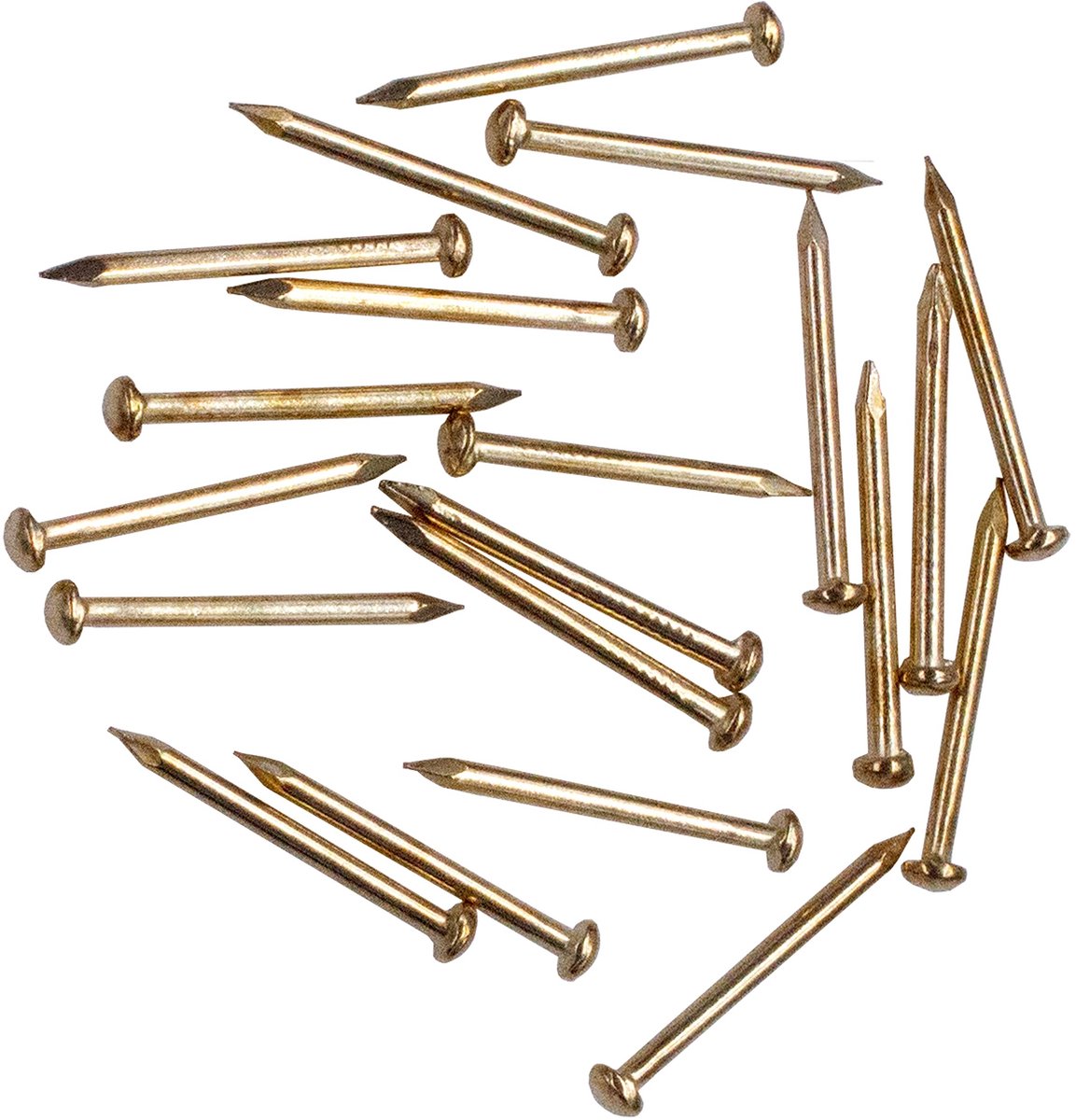 MTTProducts - Round head pins - Messing nagels - 300 stuks - 20 mm - Voor hout en gipsplaten - Hoogwaardige kwaliteit - Handig in gebruik