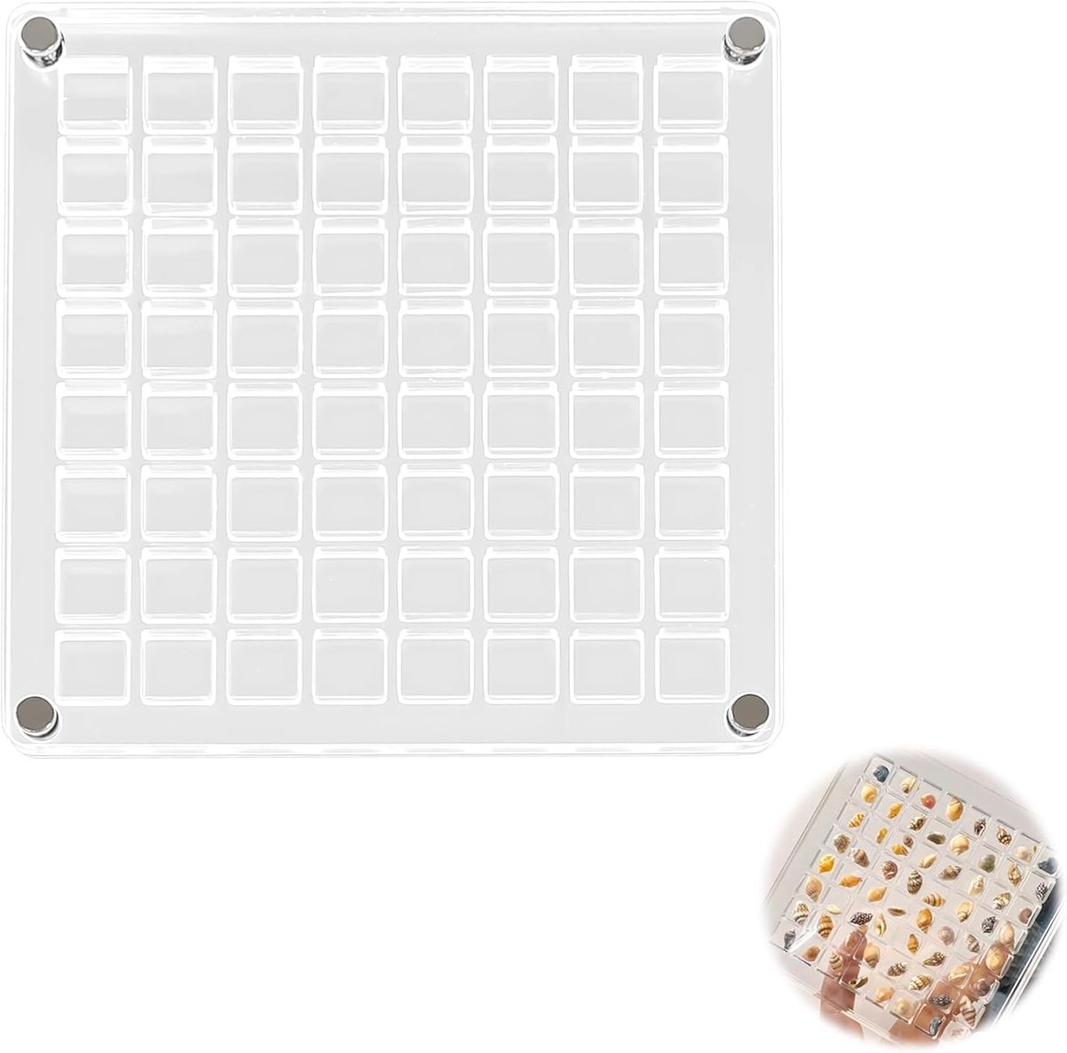 64 Compartments Acryl Magnetische Schelp Display Doos - Rooster Magnetische Schelp Display Doos - Schelp Collectie Doos - Transparante Schelp Opslag Doos voor Nagelboor Sieraden Kristal
