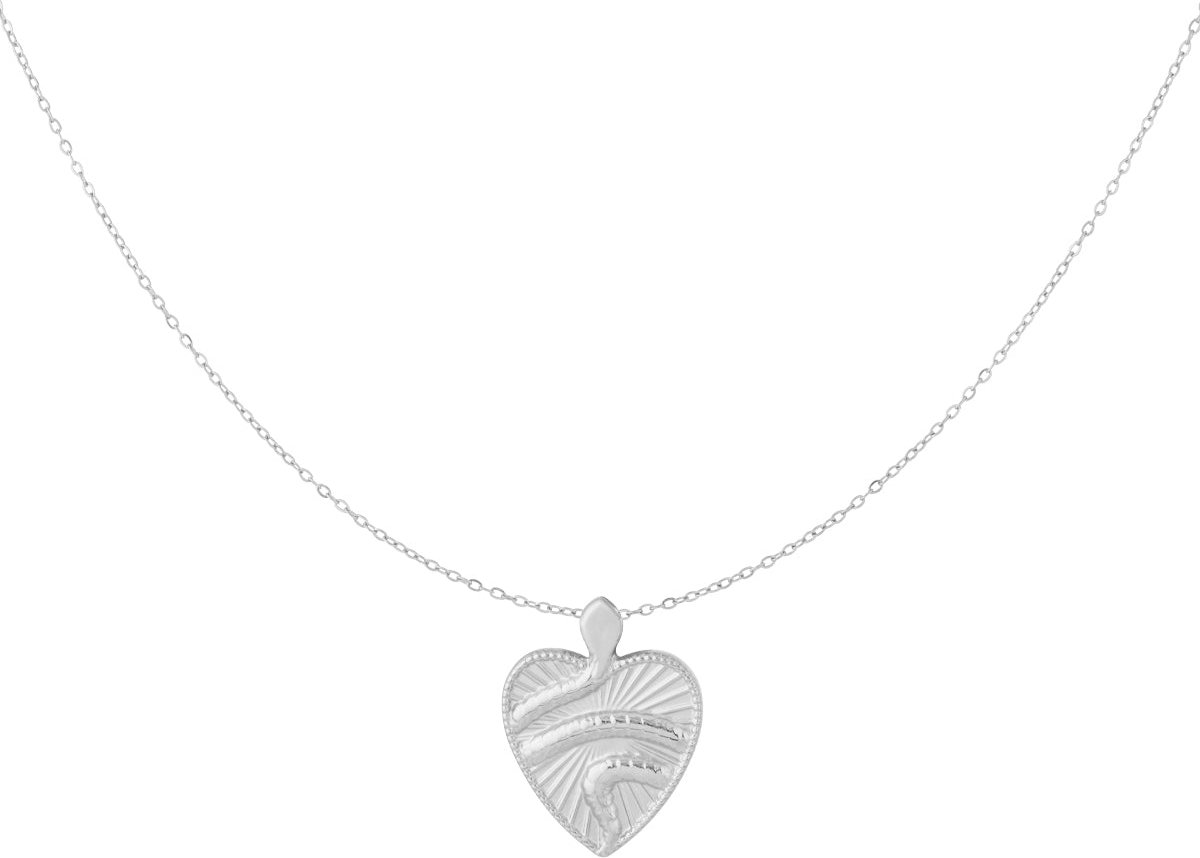 snake ketting