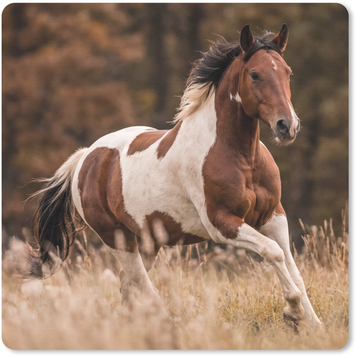 Muismat 30x30 cm - Mousepad Paard - Bruin - Gras - Muismatten