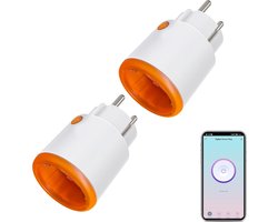 Sander Shop 2 stuks Smart Power Plugs: Zigbee Smart Plug met meet- en timerfunctie, Tuya App Control, notification push, Zigbee Hub vereist, 16A stopcontact, compatibel met Alexa, Google Home