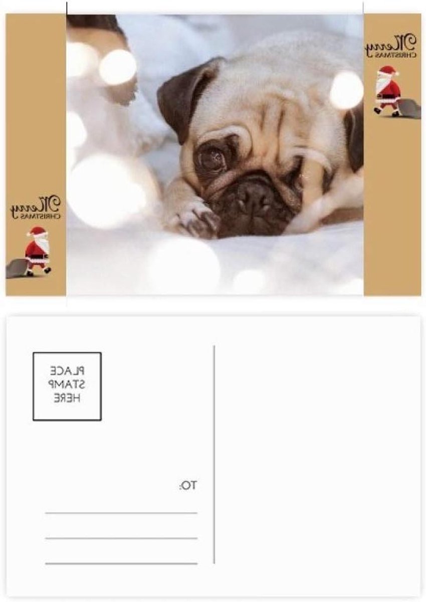 Ansichtkaarten Hond - Kaarten Huisdier Bedankkaart - Notities Maken - Regels voor Adres - 146 x 98 cm - Multicolor