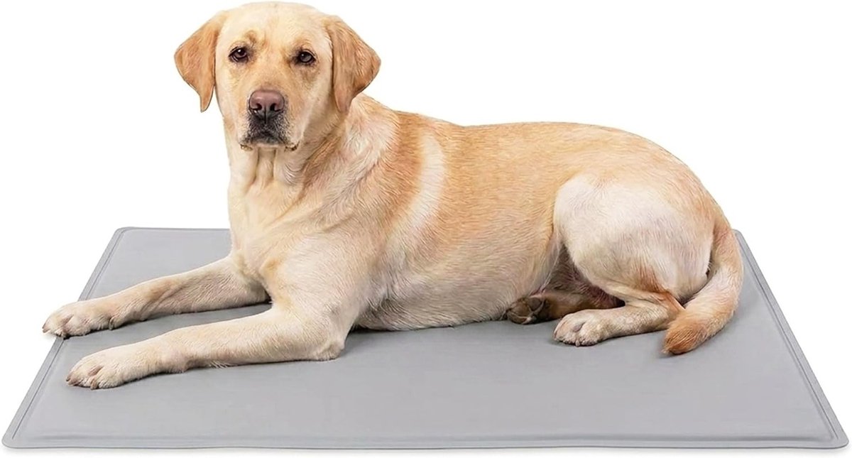 Koelmat voor Honden, Waterdichte en Robuuste Koelmat van 32D Polyester/PVC voor Binnen, Auto en Tuin, Makkelijk Schoon te Maken - 90 x 60 cm, Ideaal voor Warm Weer