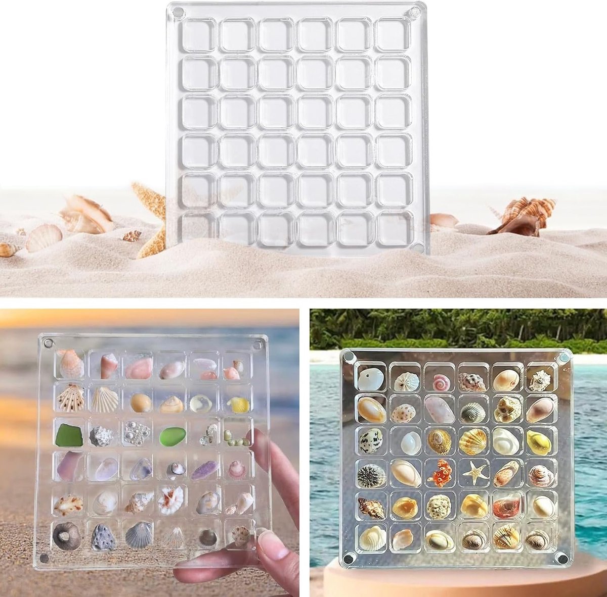 Transparante Displaydoos voor Schelpen en Sieraden, 36 Vakken voor Opberging van Edelstenen en Nagelaccessoires