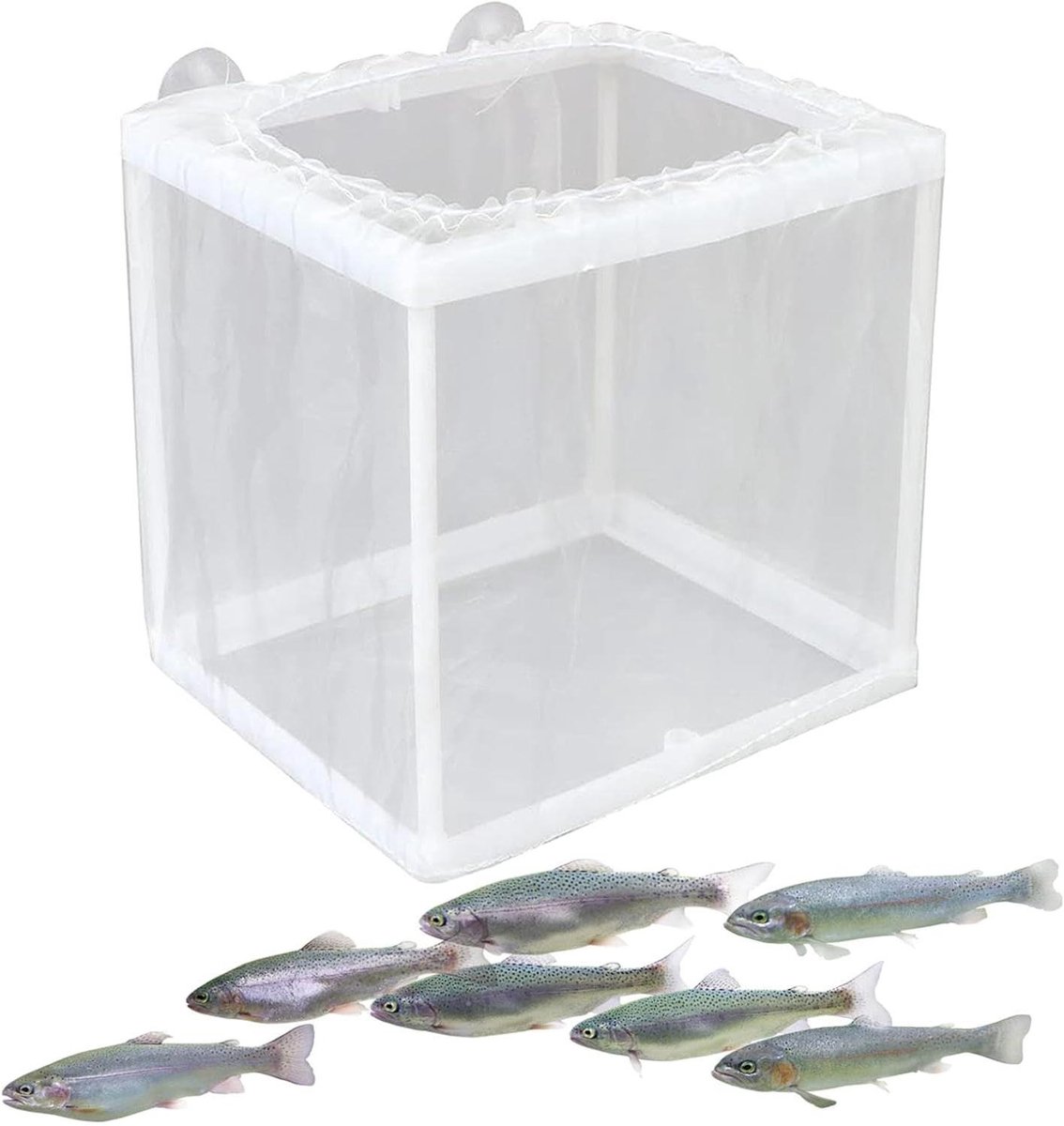 Aquarium Kweekbak - Visbroederij Incubator - Vis Kweken - Veilige Isolatie - 16 x 14 x 15 cm - Wit