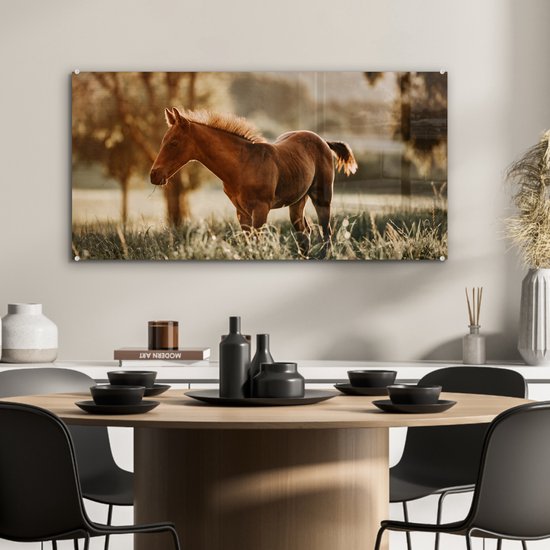® Glasschilderij 80x40 cm - Schilderij acrylglas - Paard - Licht - Weide - Foto op glas - Muurdecoratie woonkamer - Wanddecoratie slaapkamer - Schilderijen