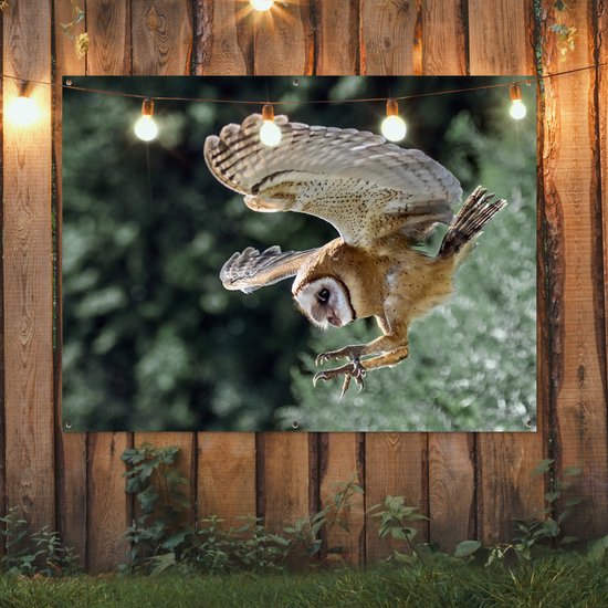 Attaque chouette 160x120 cm XXL / Groot taille!