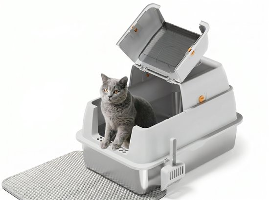 Grijze kattenbak met open deksel, een grijze Britse Korthaar kat zit erin.