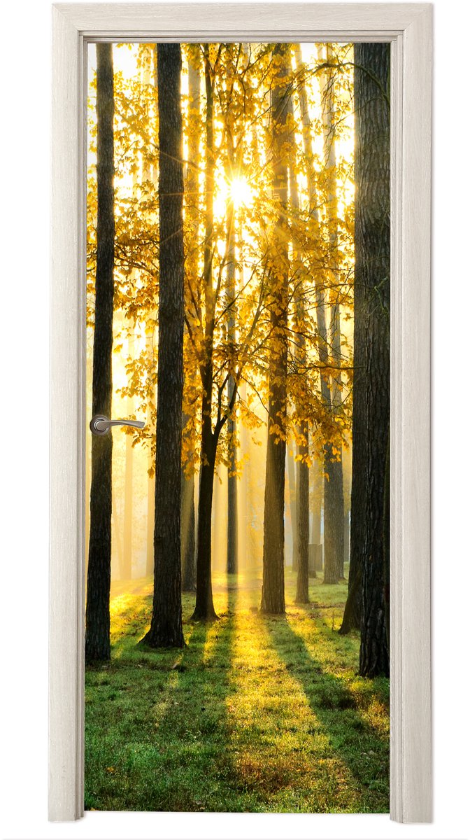 Deurposter 90x215 cm - Deursticker Bos - Zon - Bomen - Gras - Landschap - Natuur - Meubelf