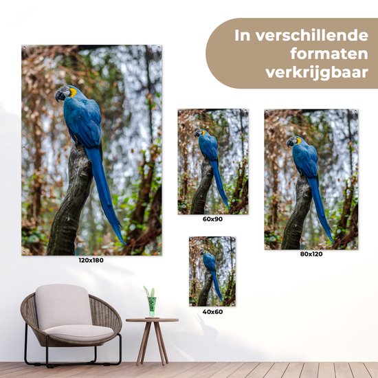 Tuinposter 60x90 cm - Tuindecoratie Vogel - Papegaai - Blauw - Poster voor in de tuin - Buiten decoratie - Schutting tuinschilderij - Tuindoek muurdecoratie - Wanddecoratie balkondoek