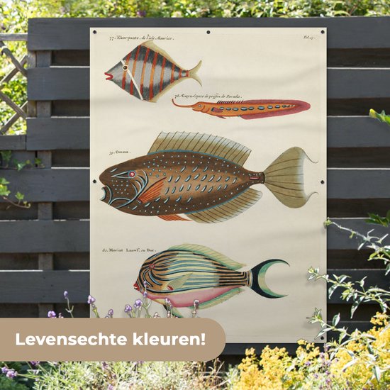Décoration murale' extérieur Vintage - Animal - Poisson - 120x160 cm
