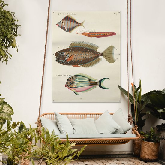 Décoration murale' extérieur Vintage - Animal - Poisson - 120x160 cm