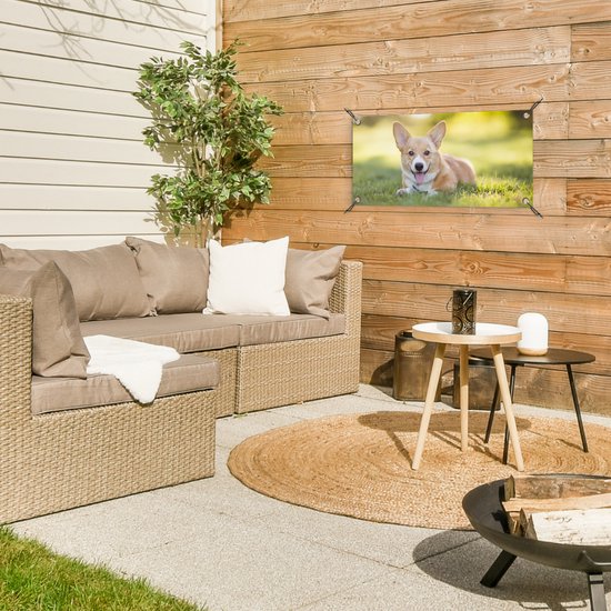 Tuinposter 60x30 cm - Tuindecoratie Welsh Corgi-puppy - Poster voor in de tuin - Buiten decoratie - Schutting tuinschilderij - Tuindoek muurdecoratie - Wanddecoratie balkondoek