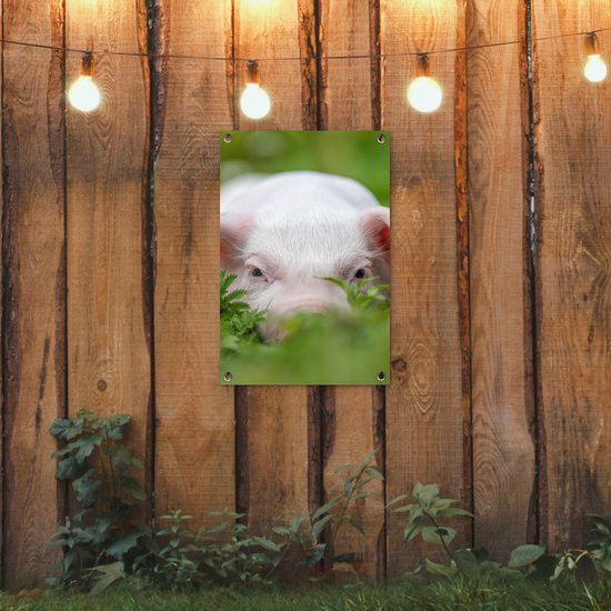Affiche de jardin - Cochon - Herbe - Animaux - Vert - Jardin - Peinture de jardin - 40x60 cm - Décoration murale - Décoration murale - Toile de jardin - Affiche d'extérieur