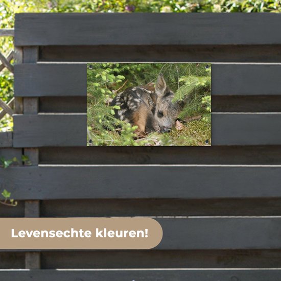 Décoration de jardin Cerf endormi - 60x40 cm - Affiche de jardin - Toile de jardin