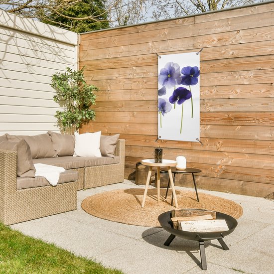 Poster de jardin Violettes violettes sur caisson lumineux - 40x80 cm - Décoration murale Outdoor - Poster de jardin - Toile de jardin - Poster de clôture - Tableau de jardin