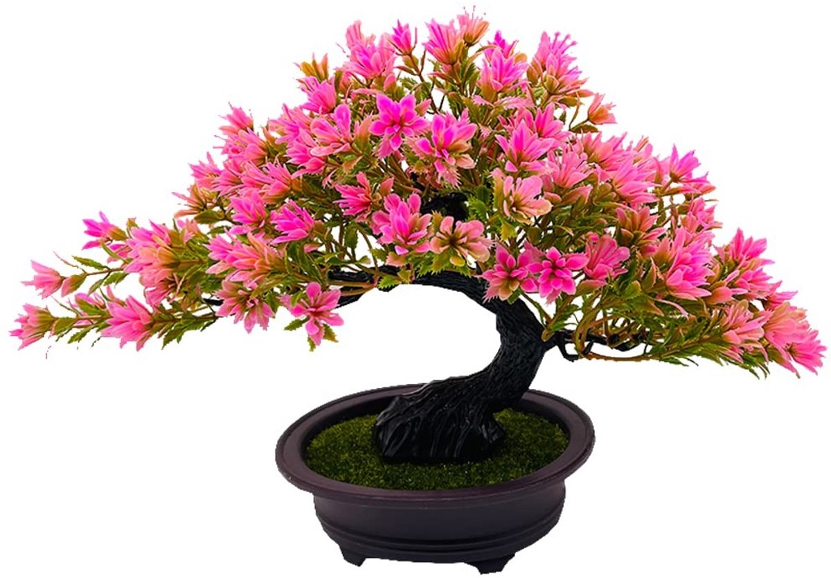 Allecto - Kunstplant Bonsai Boom in Pot - Realistische Japanse Den voor Thuis en Kantoor - Decoratie voor Binnen - Kunstplant - Onderhoudsvriendeli...