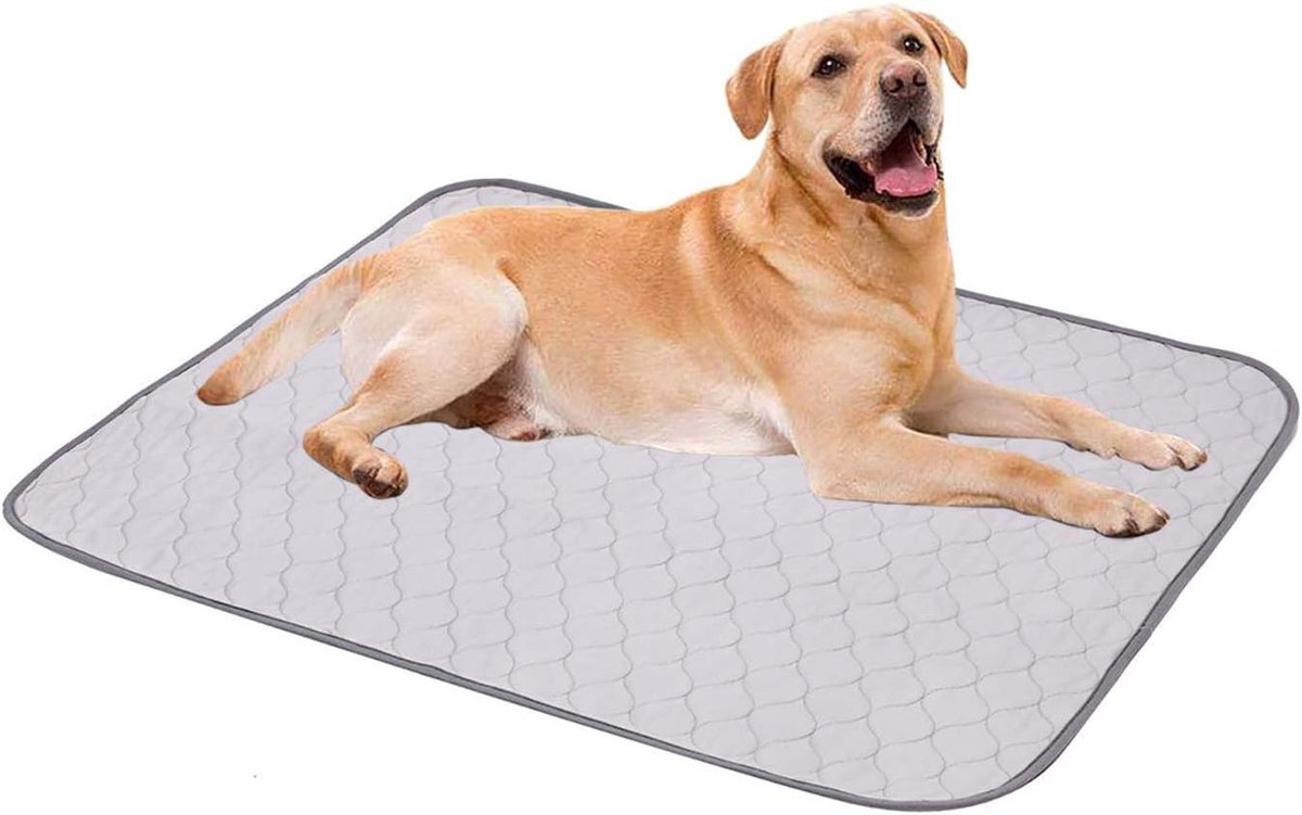 Waterproof hondenmat set van 2 stuks, antislip puppy training pads, wasbare en herbruikbare hondenkruipmatten 75x89 cm M Grijs