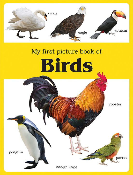 My First Picture Book of Birds - cover