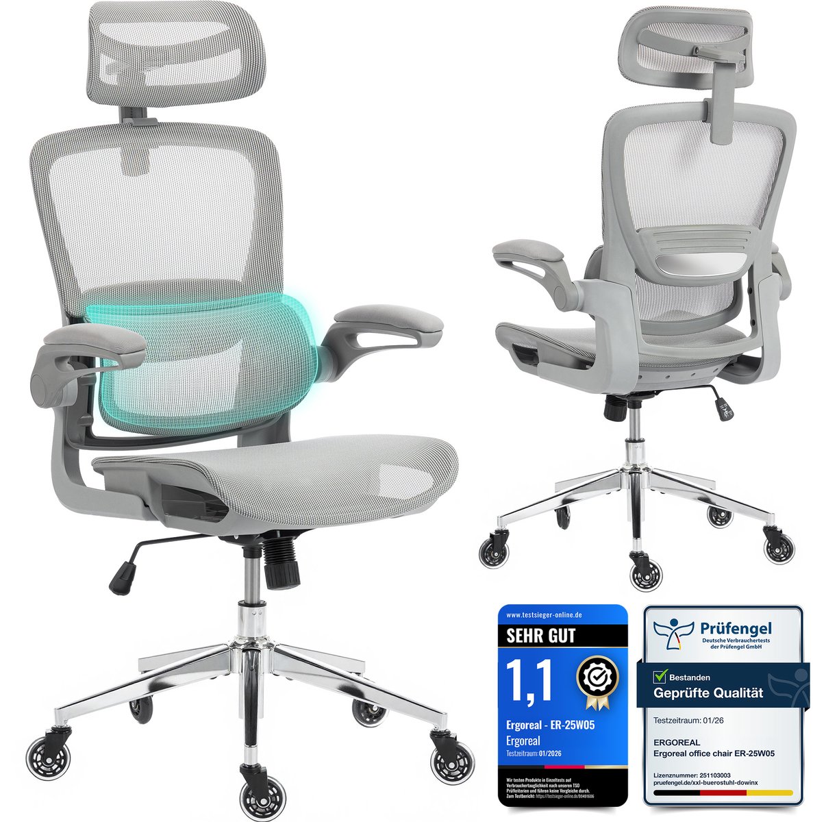 Ergonomische Bureaustoel - Office Chair - met 3D-hoofdsteu - Verstelbare armleuningen - Lendensteun - Grijs