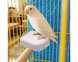 Multifunctionele vogelzitstokken, set van 2 - vogelsteun met klauwslijper
