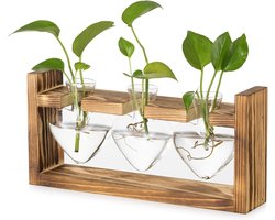 Glazen Kweekstation voor Planten: Kleine Bloemenvazen met Houten Frame voor Binnen, Ideaal voor Hydroponics en Terrarium Decoratie - Set van 3 Bud Vazen voor Kruiden en Rozenstekken