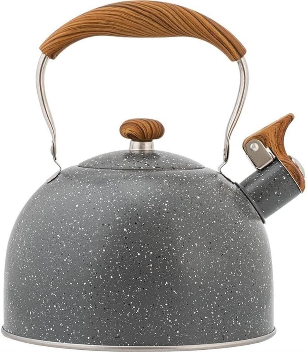 Fluitketel - Picknickpot Waterkoker - Drankjes Koken - Inklapbare Handgreep - 2.5 Liter - Zwart