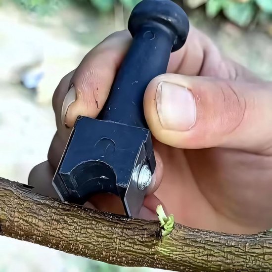 Entgereedschap Fruitboom - Planten Snijder - Tuin Verfraaien - Dubbele Plat Snijder - 13.4 cm Lengte - Zwart — afbeelding 5