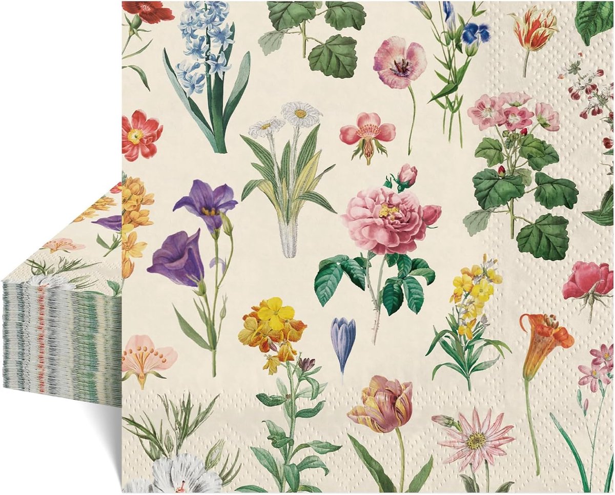 Servetten Papieren - Servetten - Tafel Servetten - Papier - Papieren Wegwerp Servetjes - Feestservetten - Voorjaar Servetten - Lunch/Diner Tafel Decoratie - 2 Laags - 6,5 inch - 40 Stuks - van Imperatoris