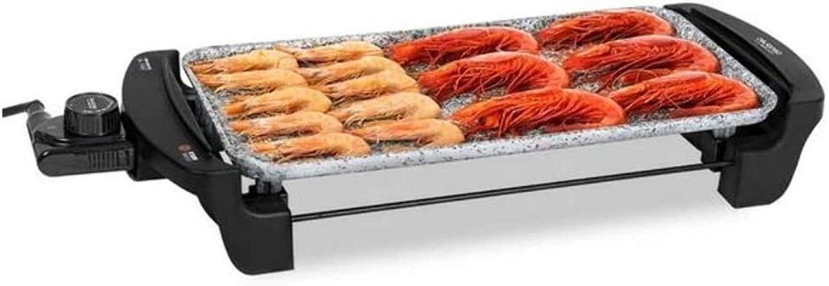 Elektrische Grillplaat - Contactgrill Plaat - Lekker Koken - Waterdicht Vaatwasmachinebestendig - 40 x 20 cm - Multicolor