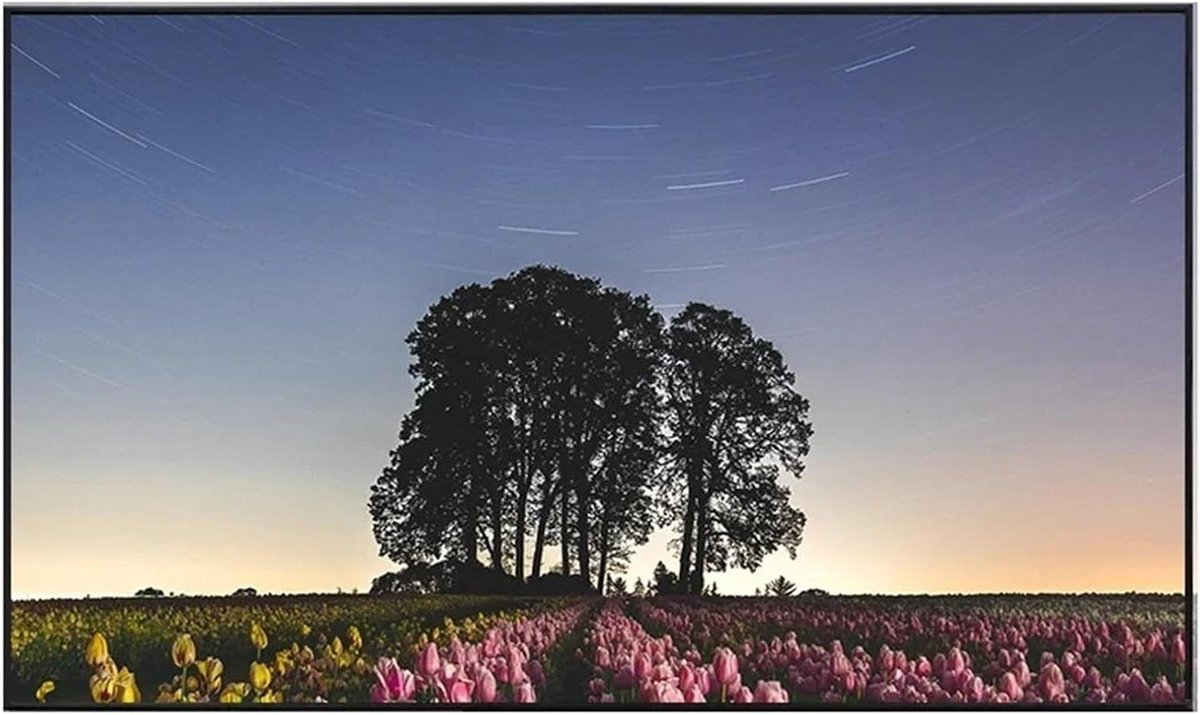 Draagbaar Projectiescherm - Beamer Scherm - Thuisbioscoop Creëren - Anti-licht Reflectie - 84 inch - Wit