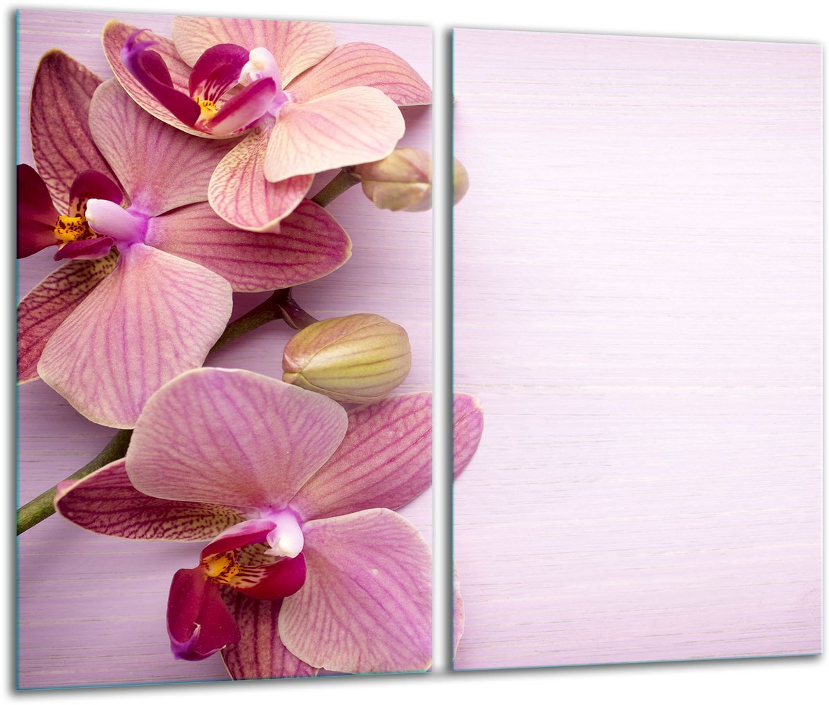 TMK ArtDeko - Snijplank Glas - 2x30x52cm - Kleur - Hittebestendig