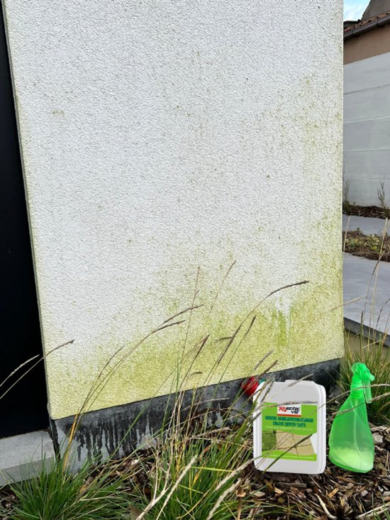 Rectavit Groene Aanslagverwijderaar – Verwijdert Algen, Mos & Korstmos – Gebruiksklaar – Voor Terras, Gevel & Hout - 5l — afbeelding 2