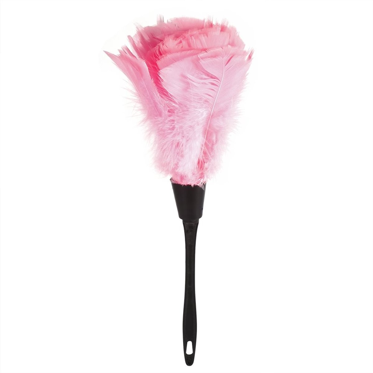 Dailygoods- Plumeau Kalkoenveren - Zachte Stofborstel - Kunststof Handgreep - Herbruikbaar - Lichtgewicht - Ruimtebesparend Opbergen - Stofdoek