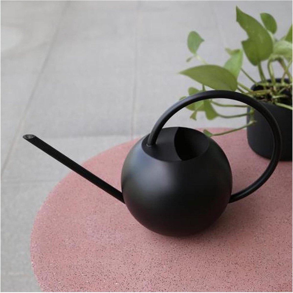 Gieter Roestvrij Staal - Waterkruik Planten - Planten Water Geven - Lange Nauwe Tuit - 1000 ml - Zwart