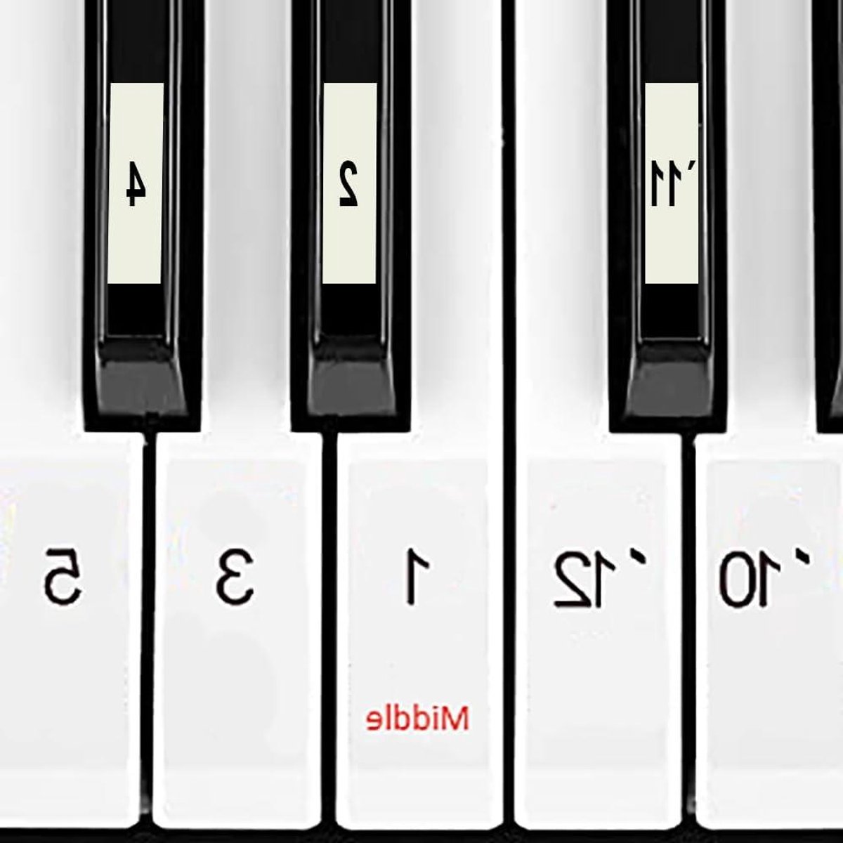Pianotoetsstickers - Genummerde Noten - Muziek Leren - Verwijderbare Lijm - 88 Stuks - Wit