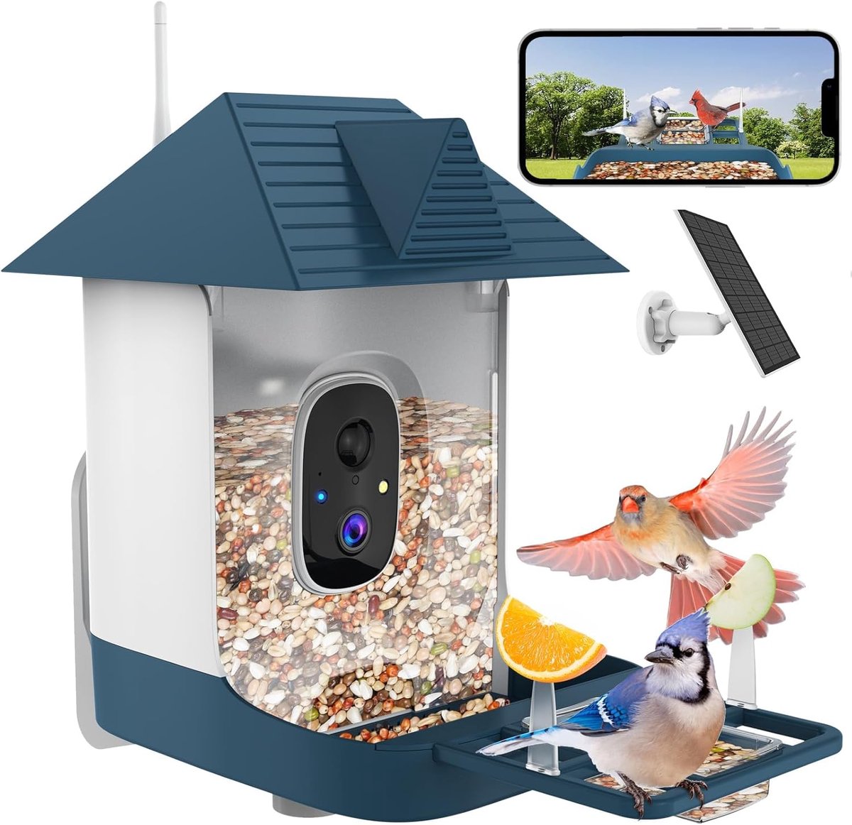Vogelvoeder met camera - Slimme voederbak - Vogels observeren - AI vogelherkenning - 18 Liter capaciteit - Blauw