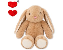 Knuffel Konijn – Inclusief Voice Recorder – Persoonlijk Cadeau met Jouw Stem – Knuffel met Geluid - Uniek Cadeau voor Verjaardag – Valentijn – Moederdag – Kerst – Vriend of Vriendin – Zwangerschap aankondiging – Sterkte & Herinnering – The Hugify
