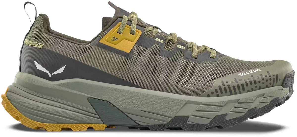 Wandelschoenen Salewa Pedroc 2 Max Groen