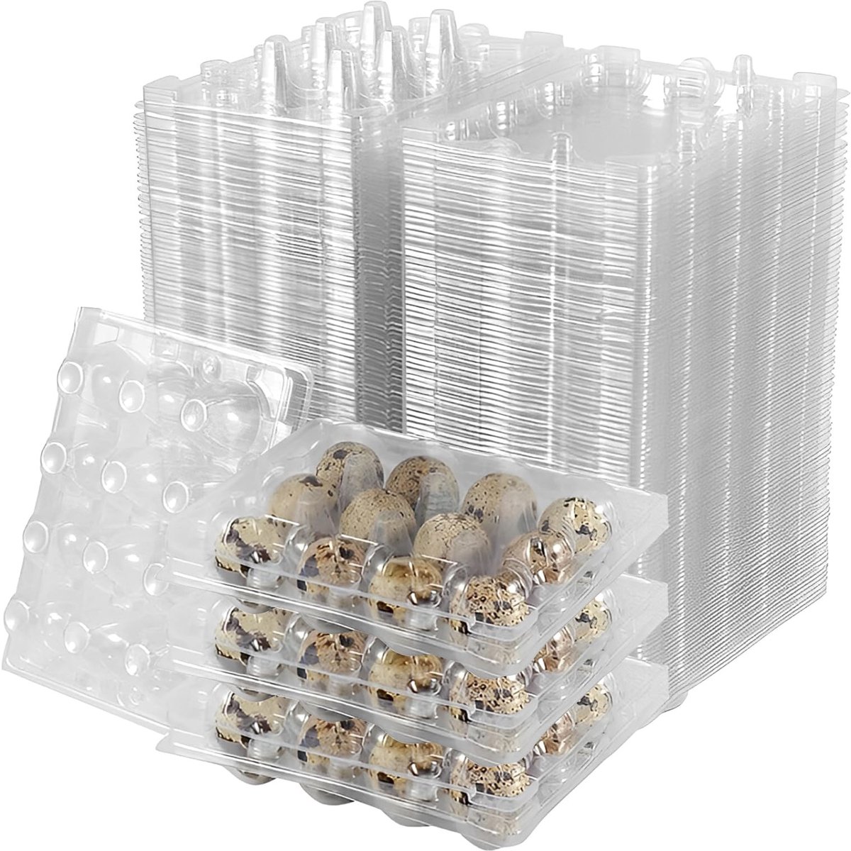 Dailygoods- Kwarteleierdozen 100 Stuks - Kunststof - 12 Vakken - Transparante Doosjes - 2,8 cm Diameter - 4 cm Hoogte - Eierdozen