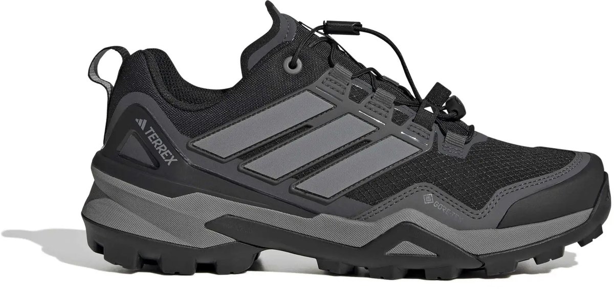 Dameswandelschoenen adidas Terrex Skychaser Gore-Tex Grijs