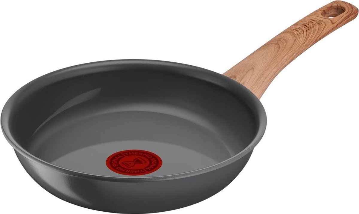 Tefal Renew Braadpan 20cm - Grijs - Aluminium - Ø20 cm