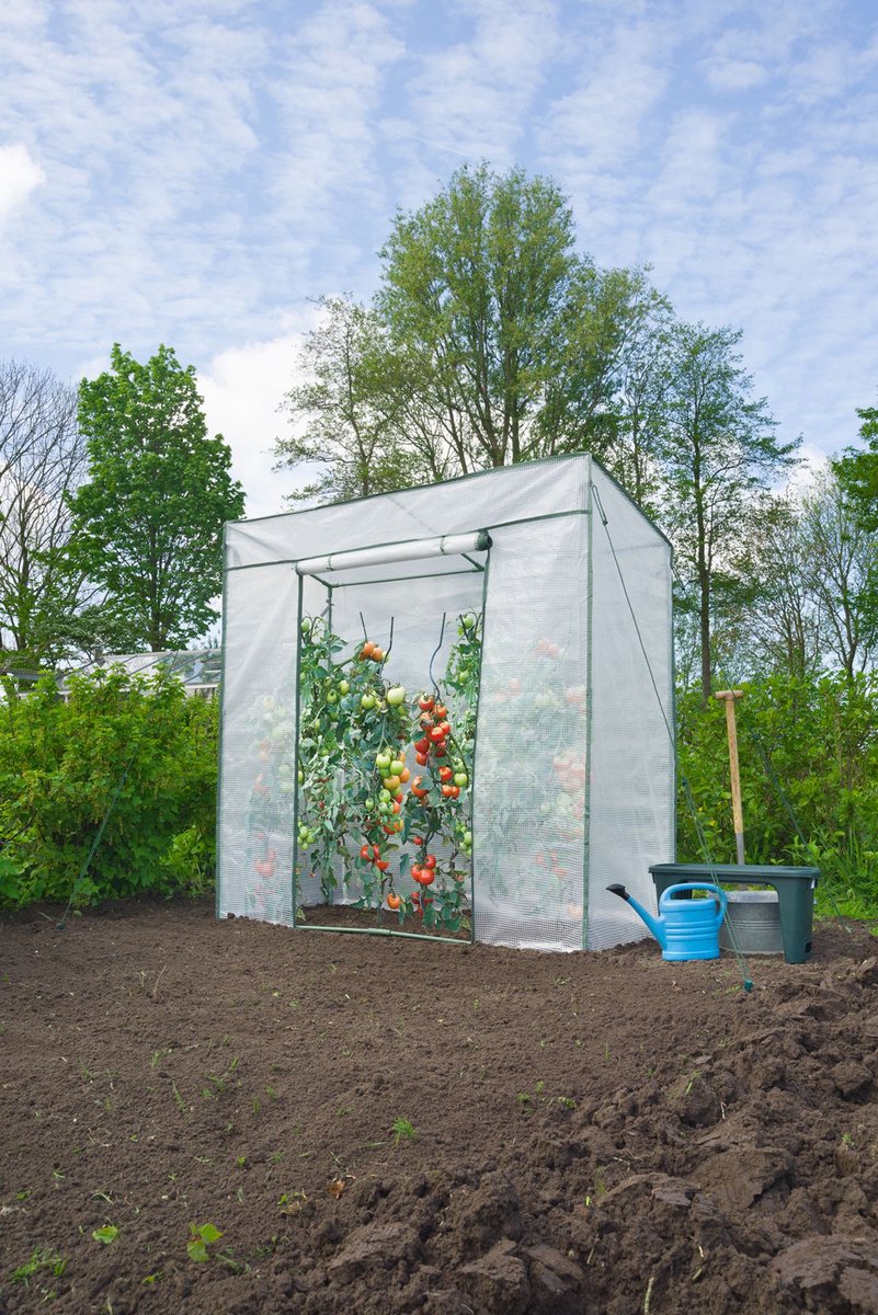 Talen Tools Nature Tomatentuinkas - H200 x 198 x 78 cm
