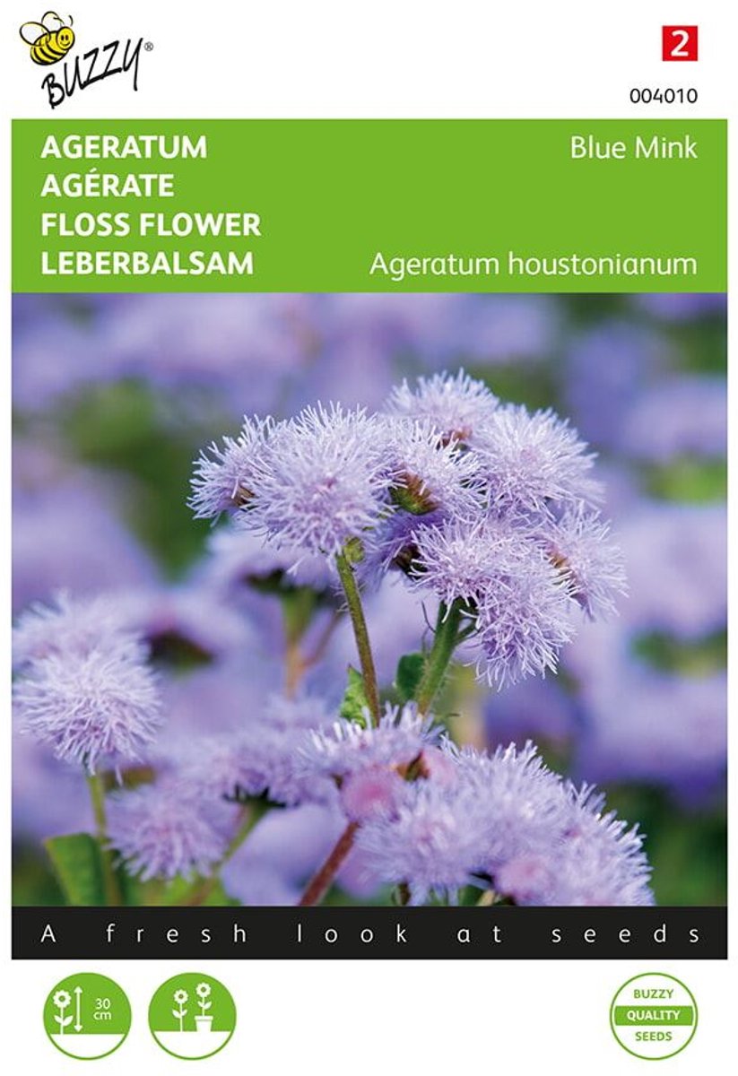 Buzzy Ageratum Houstonianum Mexicanum Blue Mink