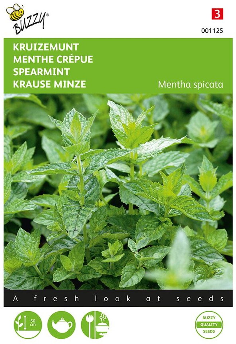 Buzzy - kruidenzaad - Kruizemunt - Mentha spicata