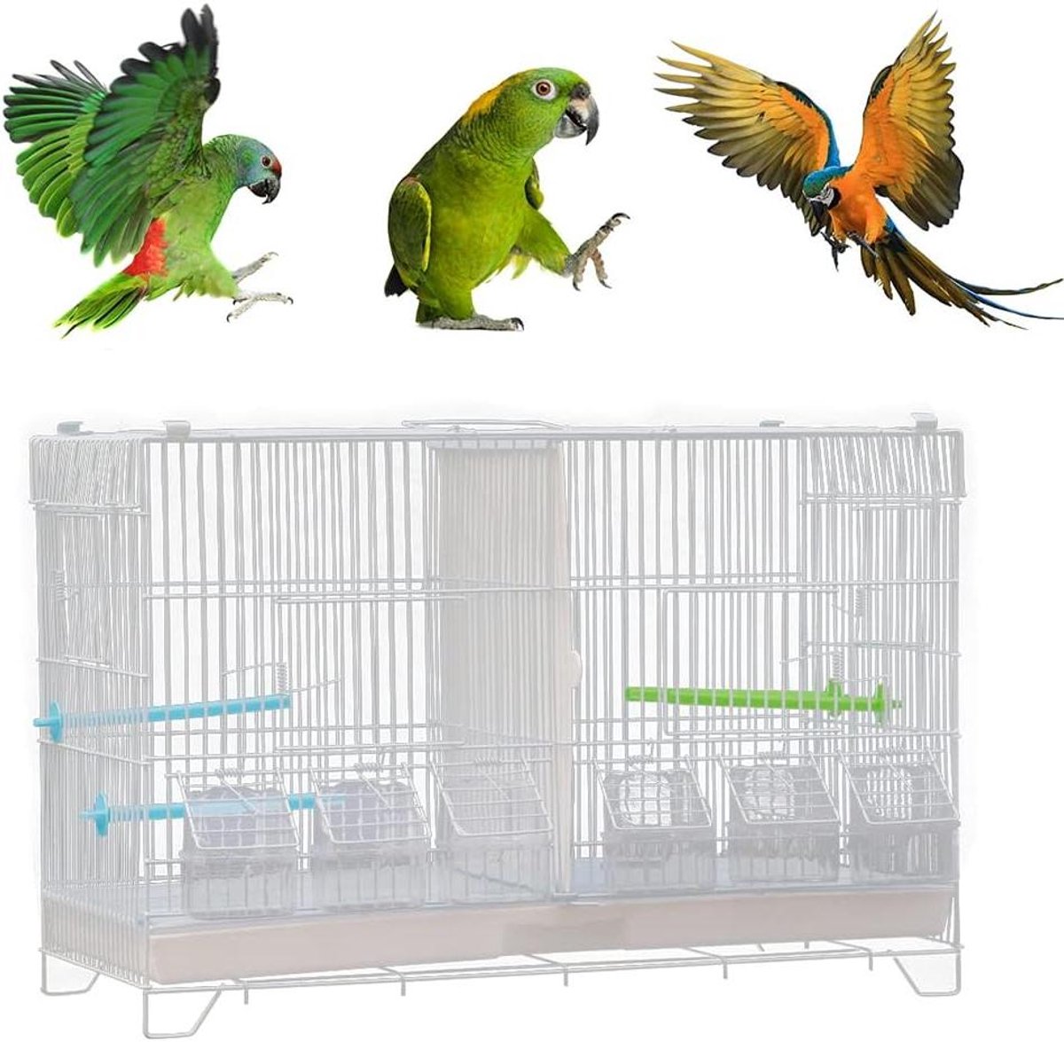 Vogelkooi Ruim - Volière Vogelhuis - Vogels Huisvesten - Met Schuiflade - 60 x 395 cm - Wit