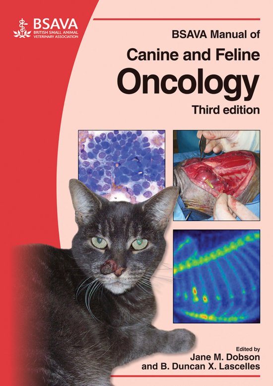 Bsava Manual Of Canine And Feline Oncology - cover